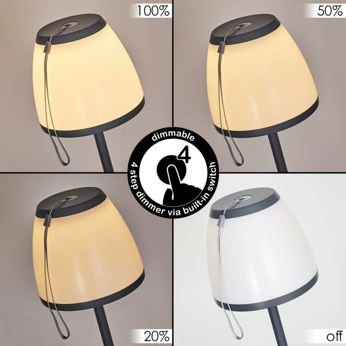 Hofstein Abuya Außenstehleuchte LED Anthrazit, 1-flammig 2 Hofstein Abuya Außenstehleuchte LED Anthrazit, 1-flammig – Bild 2