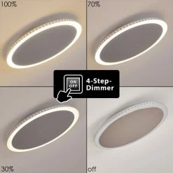 Hofstein Aitrach Deckenleuchte LED Silber, Weiß, 1-flammig -LED Leuchten Verkäufe aitrach deckenleuchte h3307526 3