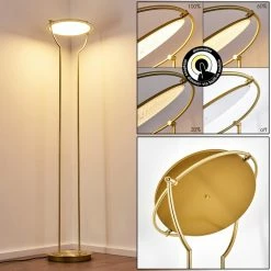 Hofstein Baise Deckenfluter LED Messing, 1-flammig