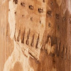 Brilliant Leuchten Brilliant Odun Stehleuchte LED Schwarz, Holz hell, 1-flammig -LED Leuchten Verkäufe brilliant odun stehleuchte g93114 36 k 2