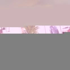 Hofstein Cheka Deckenleuchte LED Schwarz, 2-flammig, Fernbedienung -LED Leuchten Verkäufe cheka deckenleuchte h3325919 5