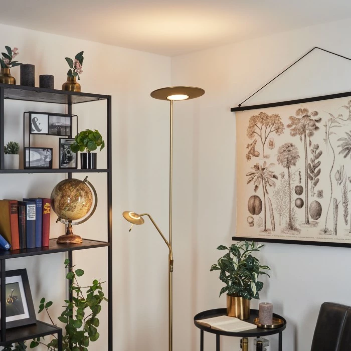 Hofstein Confluencia Deckenfluter LED Messing, 2-flammig 11 Hofstein Confluencia Deckenfluter LED Messing, 2-flammig – Bild 11