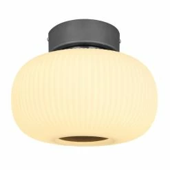 Globo BOOMER Deckenleuchte LED Nickel-Matt, Anthrazit, 1-flammig