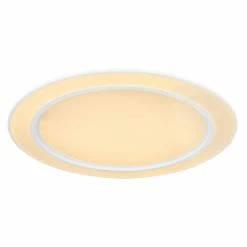 Globo DAHLA Deckenleuchte LED Weiß, 1-flammig, Farbwechsler 14 Globo DAHLA Deckenleuchte LED Weiß, 1-flammig, Farbwechsler -LED Leuchten Verkäufe globo dahla deckenleuchte 48549 60 4