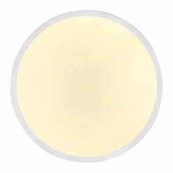 Globo GREGORY Deckenleuchte LED Aluminium, Wei&szlig;, 1-flammig -LED Leuchten Verkäufe globo gregory deckenleuchte 41763s 2