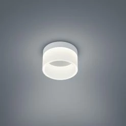 Helestra Liv Deckenleuchte LED Grau, 1-flammig