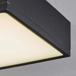 Hofstein Netstal Deckenleuchte LED Anthrazit, 1-flammig -LED Leuchten Verkäufe netstal deckenleuchte h3550229 5