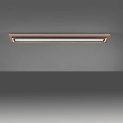 Paul Neuhaus Leuchten Paul Neuhaus PALMA Deckenleuchte LED Schwarz, Naturfarben, 2-flammig, Fernbedienung -LED Leuchten Verkäufe paul neuhaus palma deckenleuchte 6142 79 3