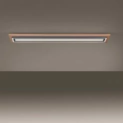 Paul Neuhaus Leuchten Paul Neuhaus PALMA Deckenleuchte LED Schwarz, Naturfarben, 2-flammig, Fernbedienung -LED Leuchten Verkäufe paul neuhaus palma deckenleuchte 6142 79 6