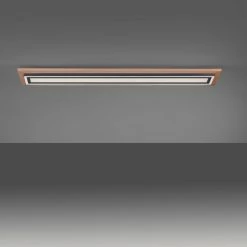 Paul Neuhaus Leuchten Paul Neuhaus PALMA Deckenleuchte LED Schwarz, Naturfarben, 2-flammig, Fernbedienung -LED Leuchten Verkäufe paul neuhaus palma deckenleuchte 6142 79 7