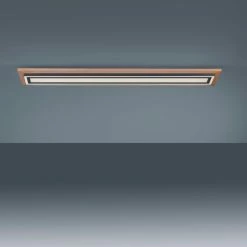 Paul Neuhaus Leuchten Paul Neuhaus PALMA Deckenleuchte LED Schwarz, Naturfarben, 2-flammig, Fernbedienung -LED Leuchten Verkäufe paul neuhaus palma deckenleuchte 6142 79 8