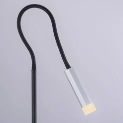 Paul Neuhaus Leuchten Paul Neuhaus PURE-GEMIN Stehleuchte LED Schwarz, Aluminium, 1-flammig -LED Leuchten Verkäufe paul neuhaus pure gemin stehleuchte 238 95 12