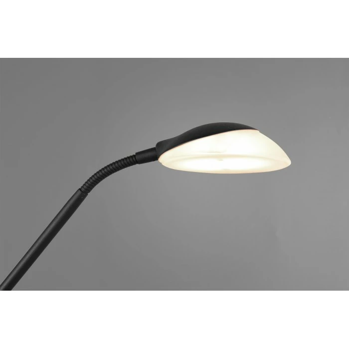 Reality Orson Deckenfluter LED Schwarz, 2-flammig 5 Reality Orson Deckenfluter LED Schwarz, 2-flammig – Bild 5