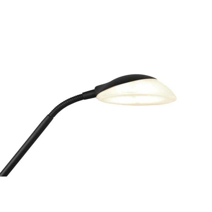 Reality Orson Deckenfluter LED Schwarz, 2-flammig 8 Reality Orson Deckenfluter LED Schwarz, 2-flammig – Bild 8