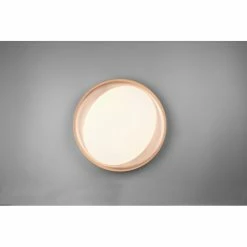 Reality Zeta Deckenleuchte LED Schwarz, 1-flammig, Fernbedienung -LED Leuchten Verkäufe reality zeta deckenleuchte r62712402 4