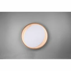 Reality Zeta Deckenleuchte LED Schwarz, 1-flammig, Fernbedienung -LED Leuchten Verkäufe reality zeta deckenleuchte r62712402 5