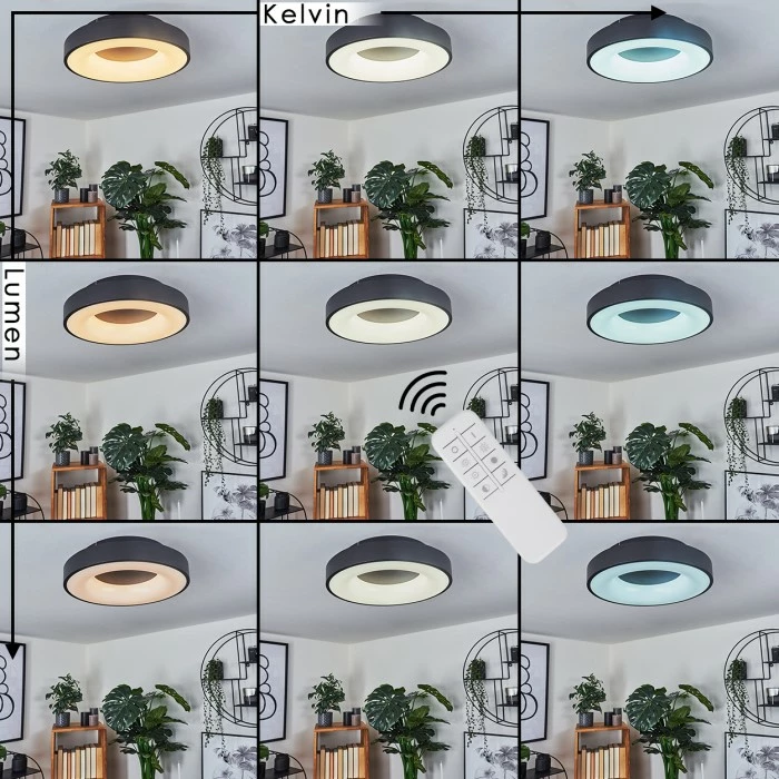 Hofstein Sachseln Deckenleuchte LED Schwarz, 1-flammig 2 Hofstein Sachseln Deckenleuchte LED Schwarz, 1-flammig – Bild 2