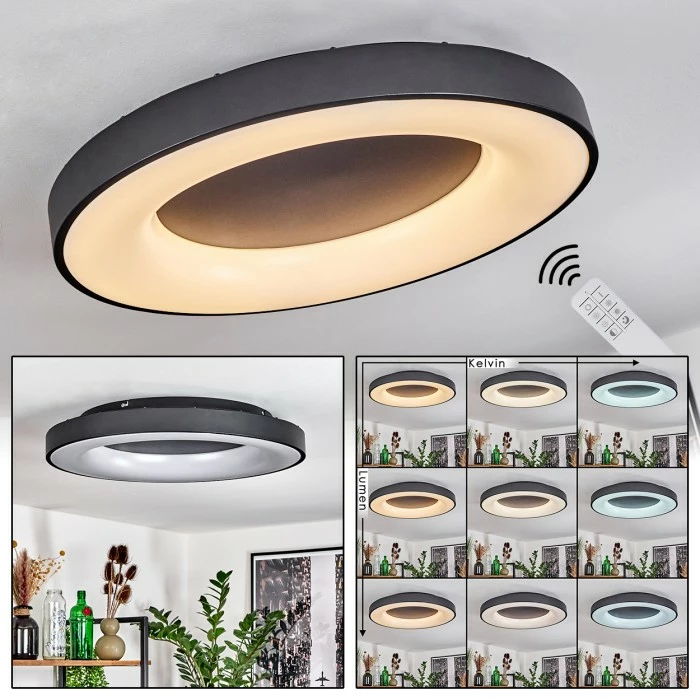 Hofstein Sachseln Deckenleuchte LED Schwarz, 1-flammig, Fernbedienung 1 Hofstein Sachseln Deckenleuchte LED Schwarz, 1-flammig, Fernbedienung