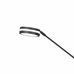 Trio Leuchten Franklin Deckenfluter LED Anthrazit, 2-flammig 19 Trio Leuchten Franklin Deckenfluter LED Anthrazit, 2-flammig -LED Leuchten Verkäufe trio leuchten franklin deckenfluter 426510242 5