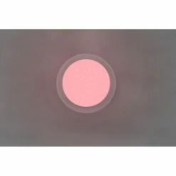 Trio Leuchten Frodeno Deckenleuchte LED Weiß, 2-flammig, Fernbedienung, Farbwechsler 15 Trio Leuchten Frodeno Deckenleuchte LED Weiß, 2-flammig, Fernbedienung, Farbwechsler -LED Leuchten Verkäufe trio leuchten frodeno deckenleuchte 680213500 5